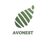 avonest.com.au