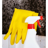 Mold Removal Lexington Solutions