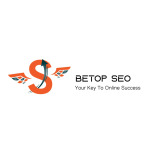 SEO Services Hyderabad