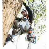 Downers Grove Tree Service
