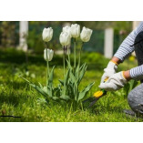 Businesses Web Designer Sunrise