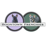 Boontown Frenchies