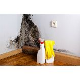 Charlottesville Mold Removal
