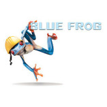 Blue Frog