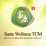 Sante Wellness TCM Pte Ltd