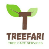 Treefari Tree Care