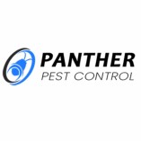 Panther Spider Control Brisbane