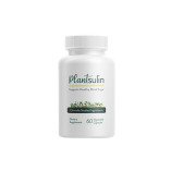 Plantsulin Experience