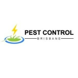 Bee Removal Brisbane