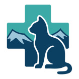 Feline Medical Clinic