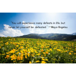 Best Urdu Quotes