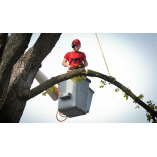 The Garden State Tree Service