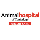 Animal Hospital Of Cambridge