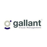 Gallant Visual Management