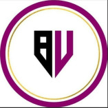 Bizvibez Consultants