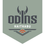 ODINS Haithabu logo