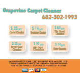 Grapevine TX Carpet Cleaner