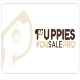 Puppie For Sale Pro LLc