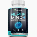 Alpha Mind - New Update 2022