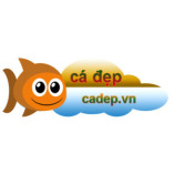 cadepvn