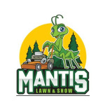 mantislawnandsnow.com