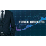 PAMM Forex Brokers