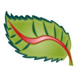 DentANA - goDentis Dr. med. dent. Dana Triebel-Regenhardt | Zahnärztin in Suhl logo