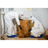 Bio-One of Hill Country