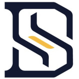 DS auto-solutions logo