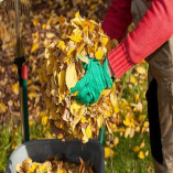 Office Clearance Chislehurst