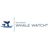 San Diego Whale Watch