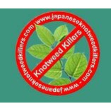 JAPANESE KNOTWEED CONTROL LTD