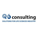 Q6consulting LLC