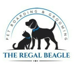 Regal Beagle