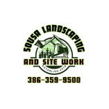 Brush Hogging near Palm Coast FL