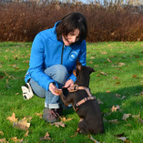 Huisdierentherapie