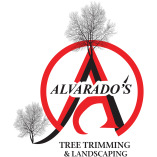 alvaradotreetrimming