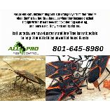 All PRO Pest Control