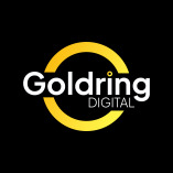Goldring DIGITAL