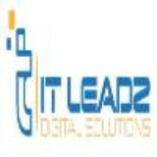 IT leadz