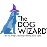 The Dog Wizard