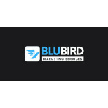 Blubird Digital Marketing Services