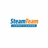 The Steam Team