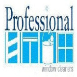 Professional Window Cleaners
