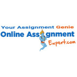 Online Assignment Expert