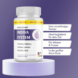 Indiva System Avis