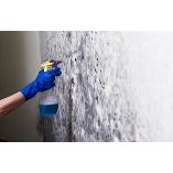 Mold Removal & Remediation Experts of Washington IL