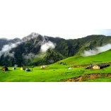 Ranikhet Tour Packages