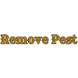 Remove Pest