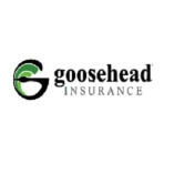 Goosehead Insurance - Semir Nailovic